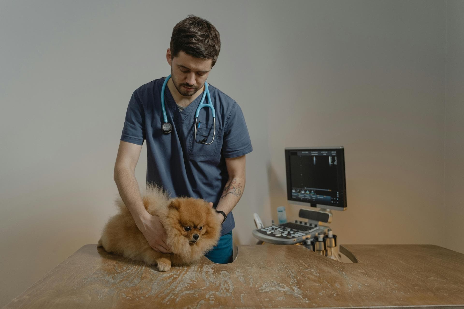 Best Vets in Clifton